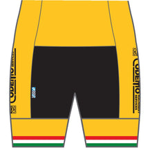 Load image into Gallery viewer, PERFORMANCE Cycling Shorts