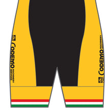 Load image into Gallery viewer, PERFORMANCE Cycling Shorts