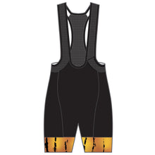 Load image into Gallery viewer, PERFORMANCE Endurance Bib Shorts