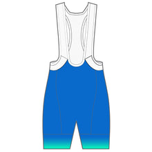 Load image into Gallery viewer, PERFORMANCE+ Bib Shorts