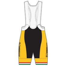Load image into Gallery viewer, PERFORMANCE+ Bib Shorts
